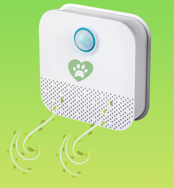 Feature product image